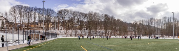 Stadion der Jugend Nebenplatz - Rodewisch