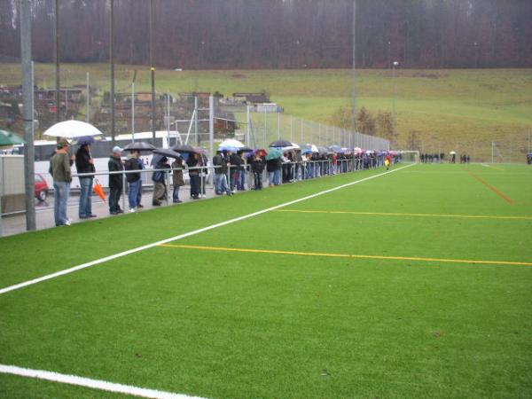 Sportplatz Ruopigen Platz 2 - Luzern