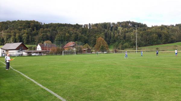 Sportplatz Arlets - Rikon