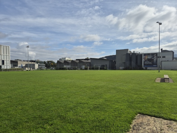 Sportplatz Grossfeld - Trimbach