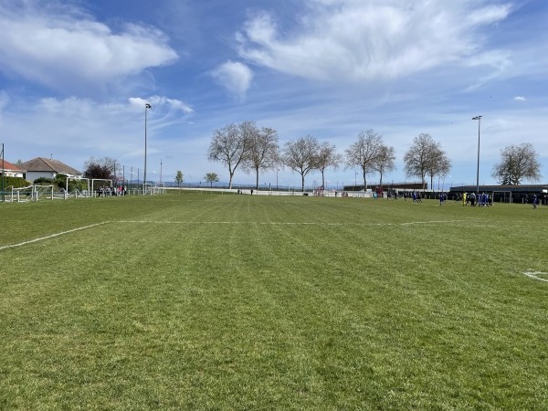 Stade Raymond Bollinger terrain annexe - Sundhoffen 