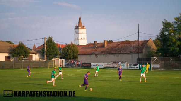 Arena Hărman - Hărman