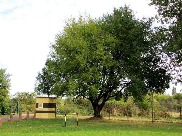 Sportplatz Feldweg - Bernburg/Saale-Roschwitz