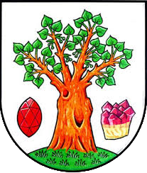 Wappen 1. FC Tatobity