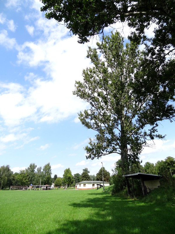 Sportplatz Schützenberg - Seegebiet Mansfelder Land-Dederstedt
