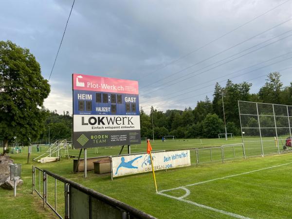 Sportplatz Reitplatz - Winterthur