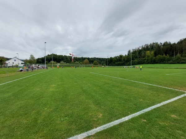 Sportplatz Arlets Platz 2 - Rikon