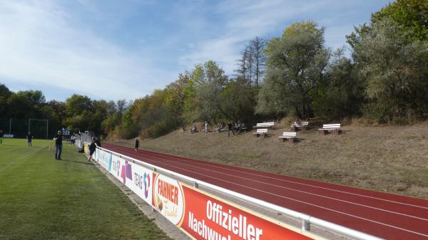 Alfred-Just-Stadion - Dachwig