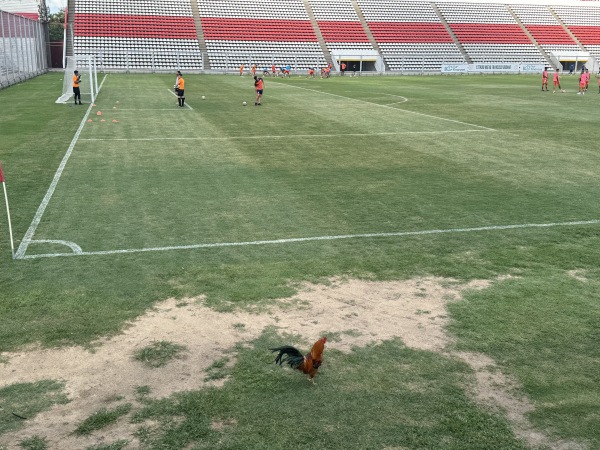 Estadio Nuevo Francisco Urbano - Morón, BA