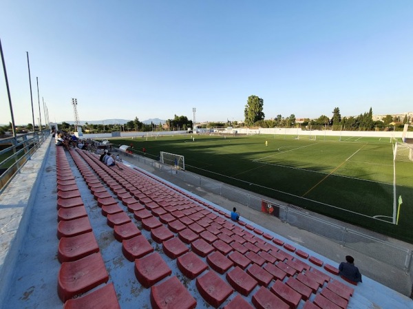 Estadio Sánchez Cánovas - Molina de Segura, MC