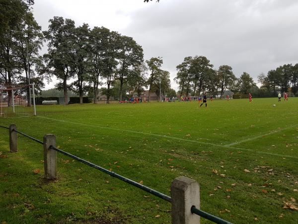 Walter-Steinkühler-Stadion III - Emsdetten-Isendorf