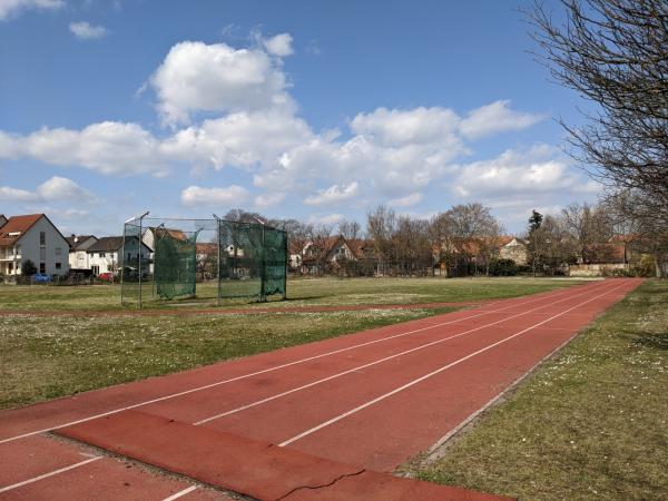 TSV-Sportplatz - Freinsheim