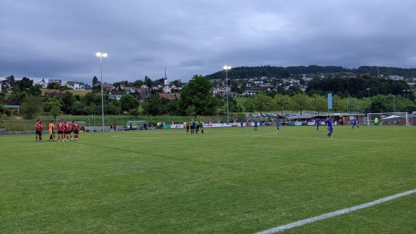 Sportplatz Strandbad - Beinwil am See