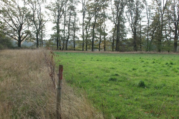 Sportplatz Froitzheim - Vettweiß-Froitzheim