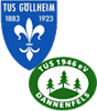 Wappen SG Göllheim II / Dannenfels II (Ground A)
