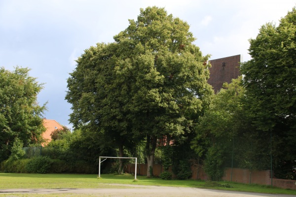 Waldstadion B-Platz - Varel