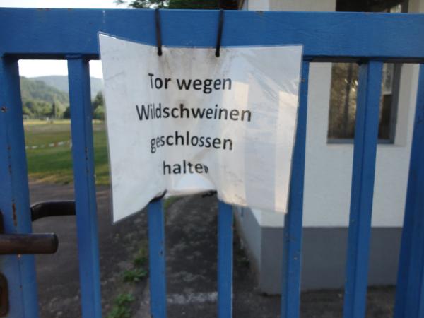 Trifelsstadion - Annweiler/Trifels