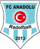 Wappen FC Anadolu Radolfzell 2013