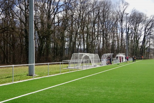 Stade de Laconnex - Laconnex