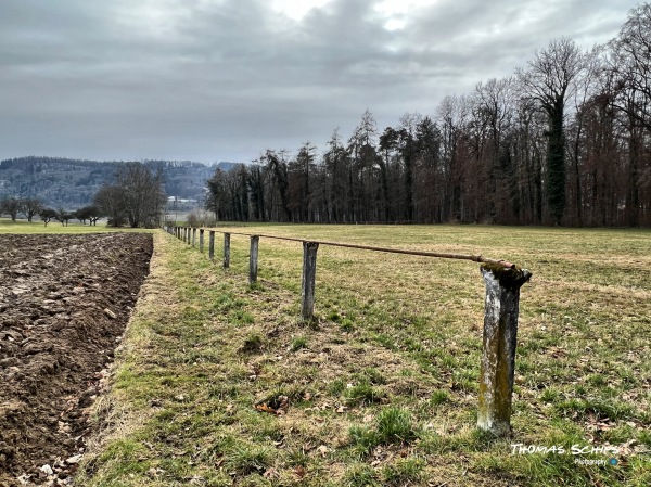 Sportplatz Oberholz - Rielasingen-Worblingen-Arlen