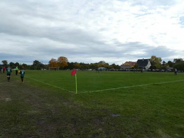 Boisko w Niegosławicach - Niegosławice