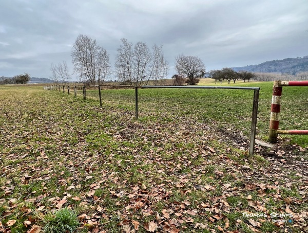 Sportplatz Oberholz - Rielasingen-Worblingen-Arlen