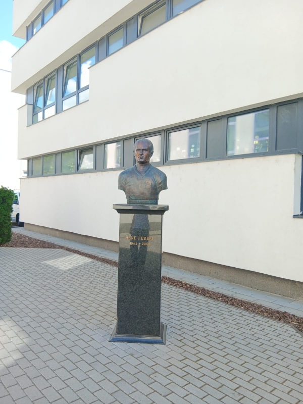 Szusza Ferenc Stadion - Budapest