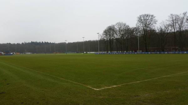 HSV-Trainingsgelände am Volksparkstadion Platz 6 - Hamburg-Bahrenfeld