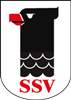 Wappen SSV Hagen 1905 Fußball diverse