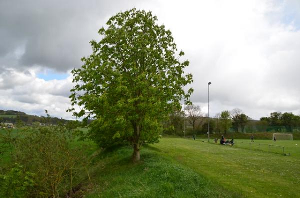 Sportplatz Nöthen - Bad Münstereifel-Nöthen