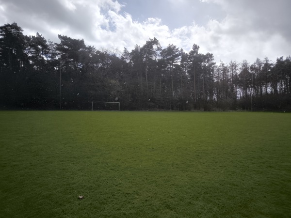 Stadion der Sportfreunde D-Platz - Meppen-Schwefingen