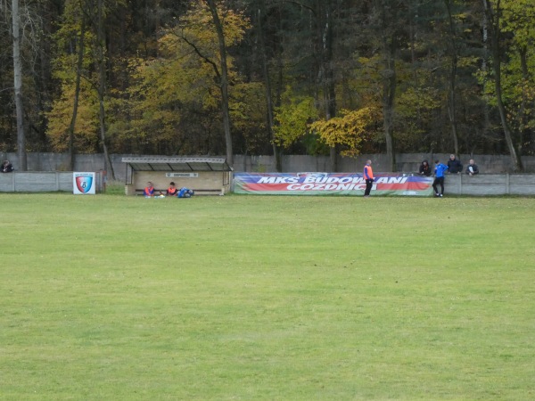 Stadion Miejski w Gozdnicy - Gozdnica