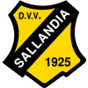 Wappen DVV Sallandia  52102