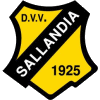 Wappen DVV Sallandia