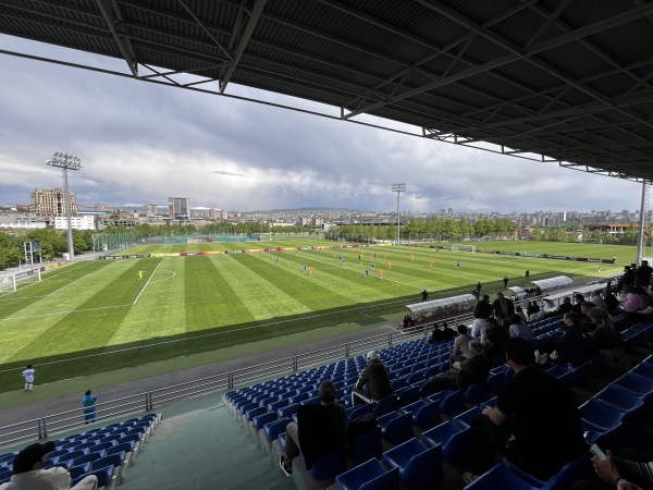 Armenia Football Academy grass - Yerevan