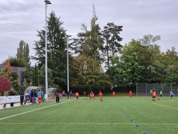 Stade de la Californie - Vésenaz