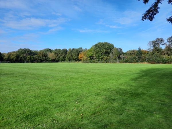 Sportpark De Langeleegte veld 8 - Veendam