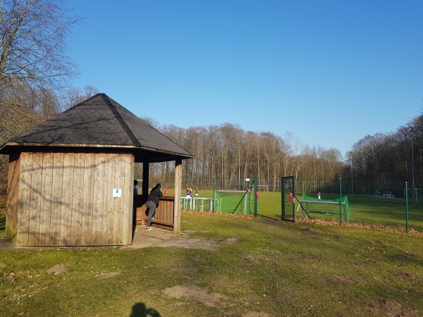 Sportplatz an der Schule - Oelixdorf