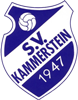 Wappen SV Kammerstein 1947 diverse