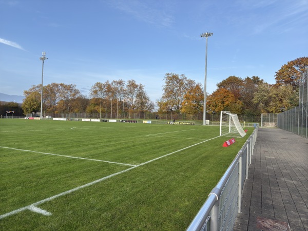 Stade des Arbères - Meyrin