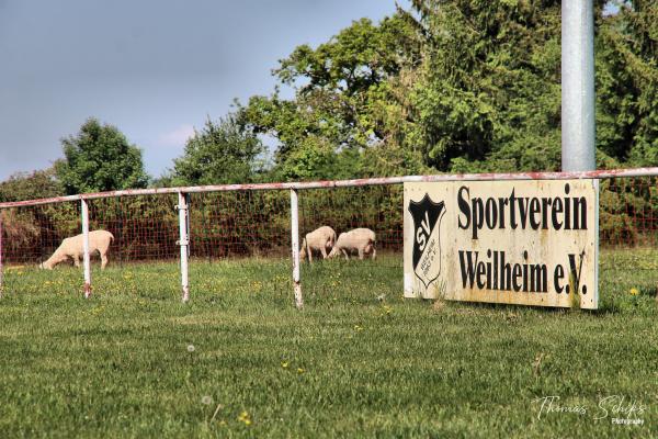 Sportplatz Weilheim - Hechingen-Weilheim