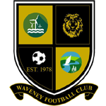 Wappen Waveney FC
