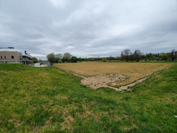 Sportanlage Käthe-Kollwitz-Ufer - Dresden-Johannstadt