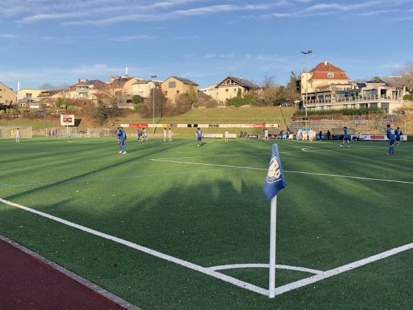 Reichert.Männermode-Arena - Lörrach-Stetten
