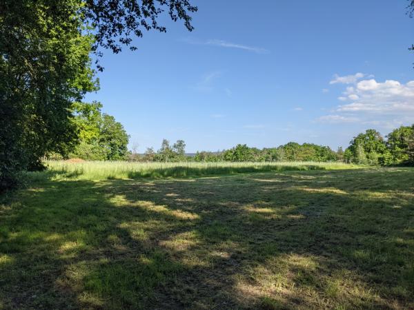 Sportplatz am Eisenberger Wald - Wattenheim/Pfalz