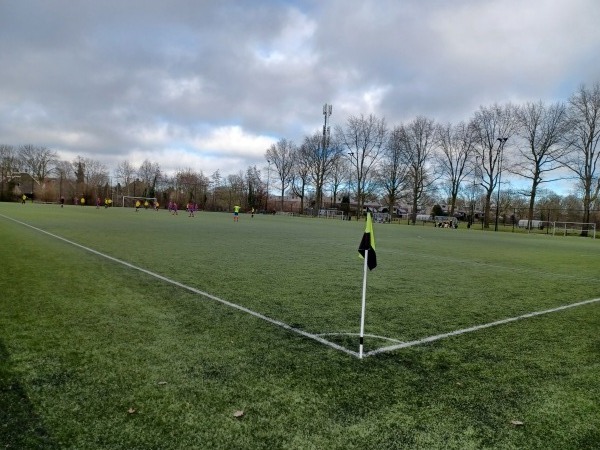 Sportpark Amstelhoef veld 3 - Oss