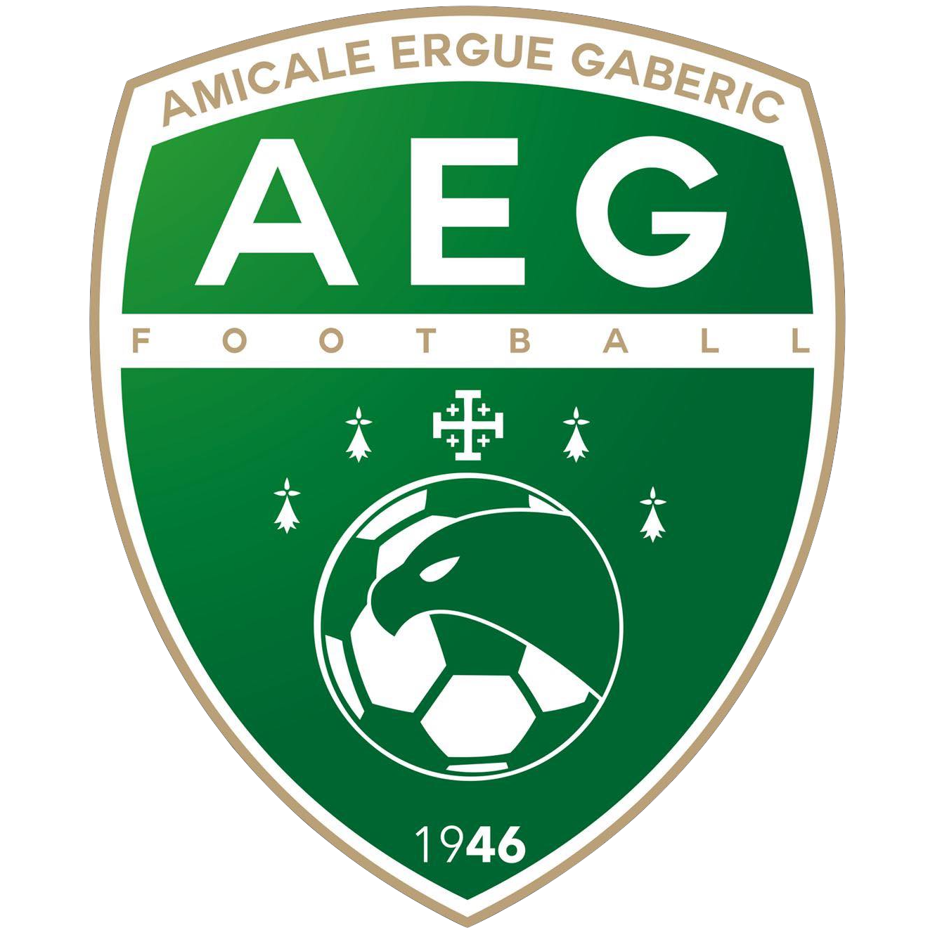 Wappen AEG Football