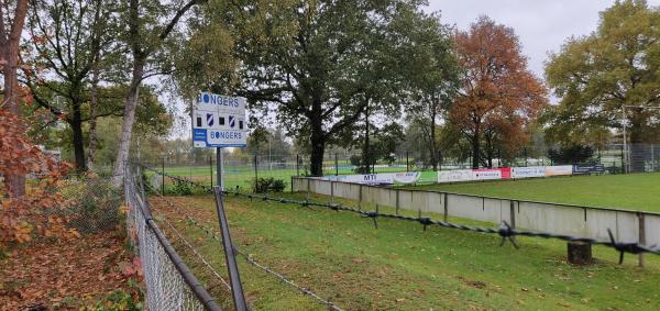 Wilhelmina Sportpark - Renkum-Heelsum