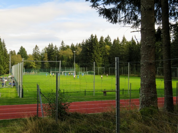 Sportplatz am Waldpark - Auerbach/Vogtland-Grünheide
