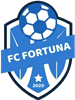 Wappen FC Fortuna 2020 Drenas  112776